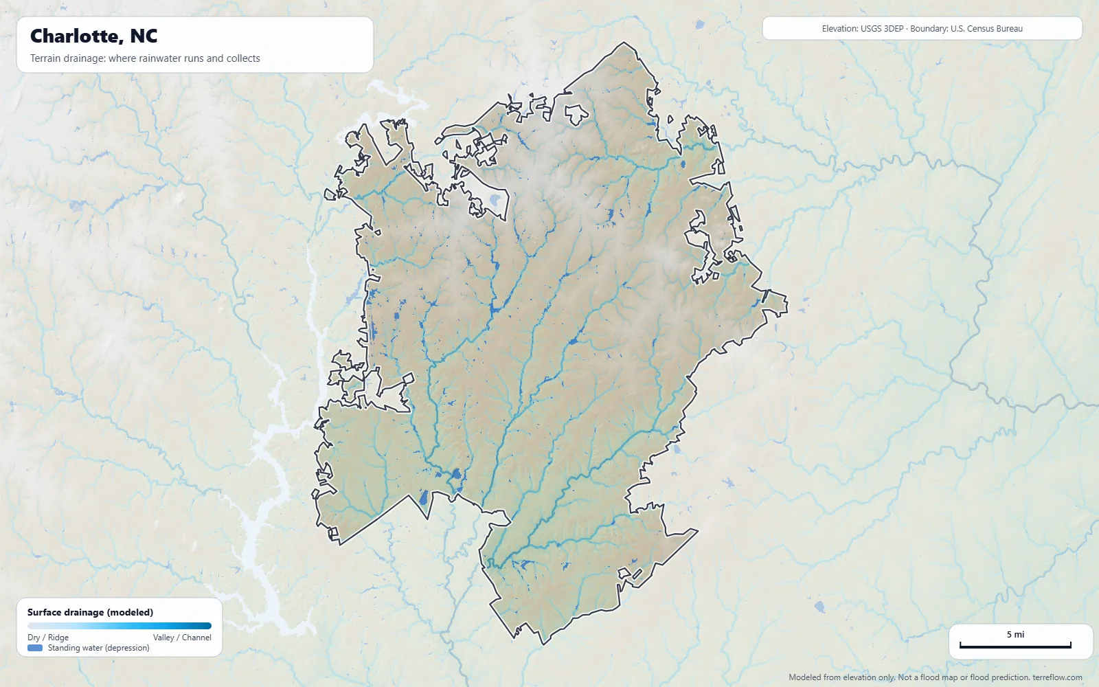 Terrain drainage map of Charlotte, NC: modeled paths where rainwater runs and collects, from USGS 3DEP elevation data, with the city boundary