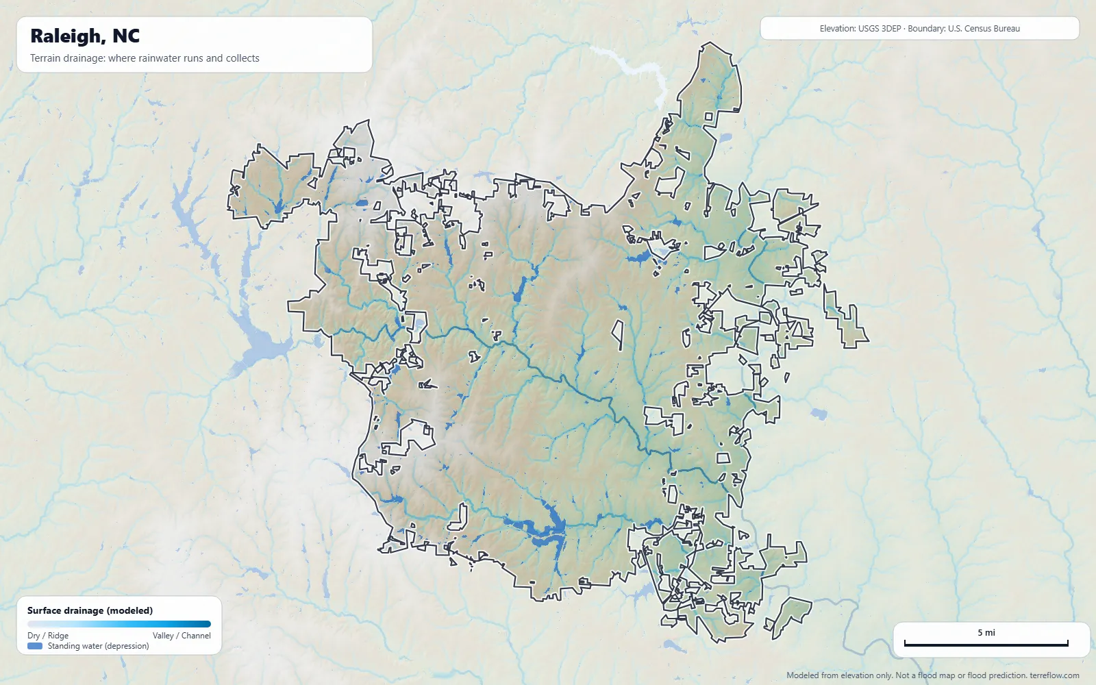 Terrain drainage map of Raleigh, NC: modeled paths where rainwater runs and collects, from USGS 3DEP elevation data, with the city boundary
