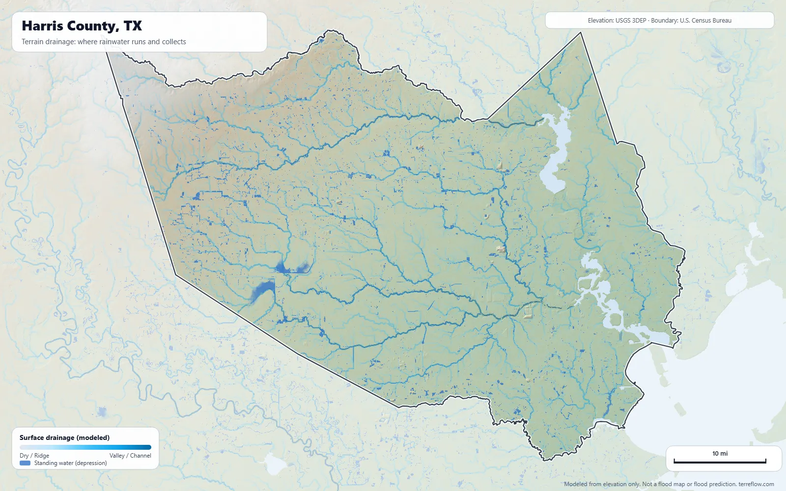 Terrain drainage map of Harris County, TX: modeled paths where rainwater runs and collects, from USGS 3DEP elevation data, with the county boundary