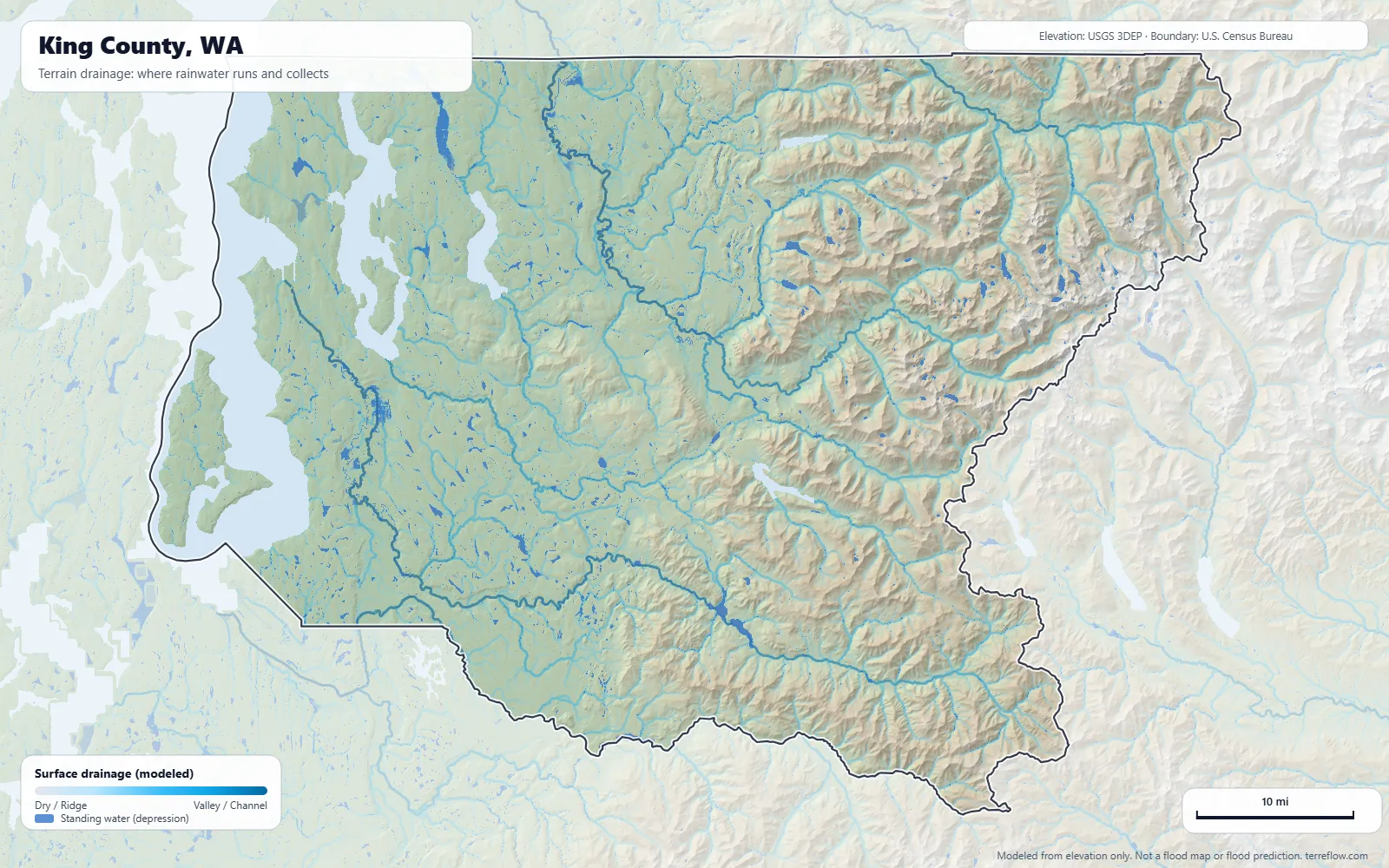 Terrain drainage map of King County, WA: modeled paths where rainwater runs and collects, from USGS 3DEP elevation data, with the county boundary