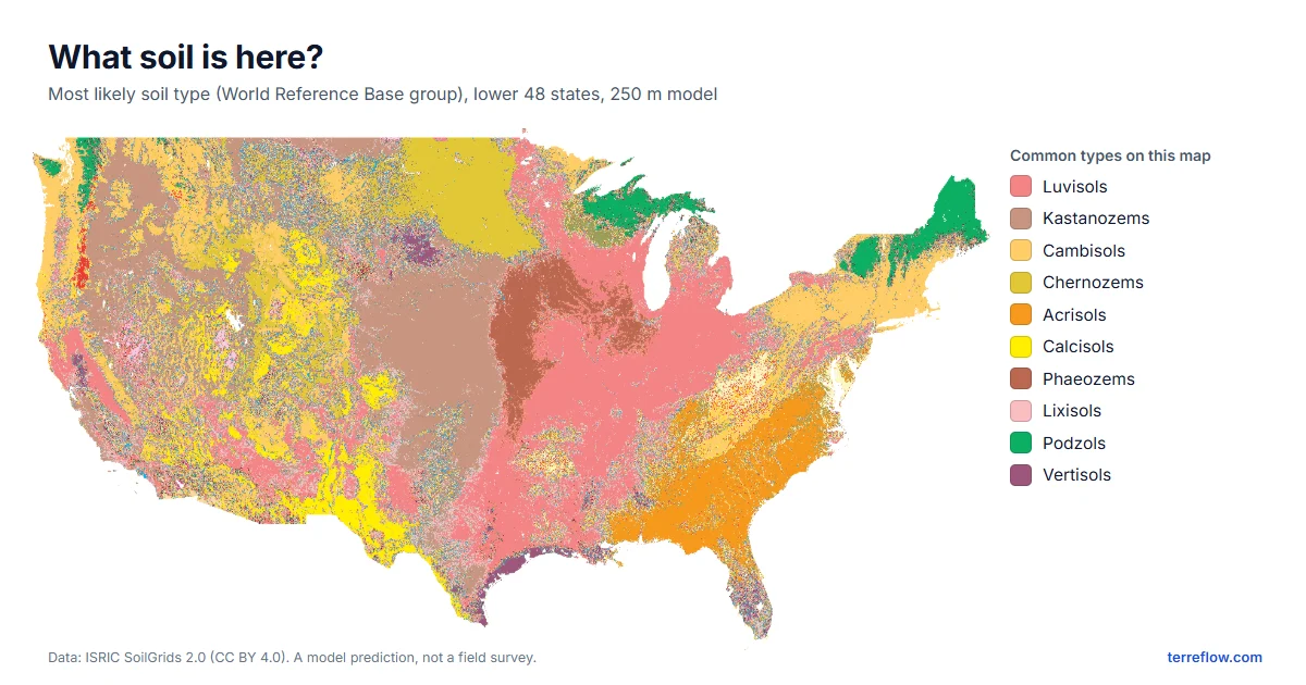 Map of the lower 48 states colored by most likely soil type. Luvisols, pink, cover much of the Midwest and South; Kastanozems and Chernozems, brown and olive, cover the Plains; Phaeozems, dark brown, the prairie around Iowa; Acrisols, orange, the Southeast; Calcisols, yellow, parts of the desert Southwest; Podzols, green, northern New England and the upper Great Lakes; Vertisols, purple, the Texas and Louisiana Gulf Coast.